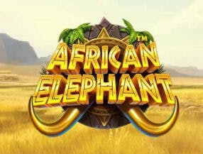 African Elephant